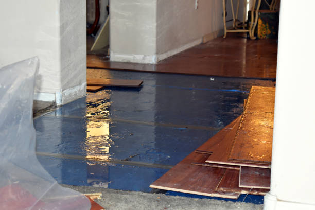Professional Emergency Water Damage Restoration technician working in Wilbraham, MA